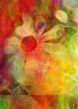 Floral Abstract